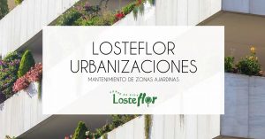 Losteflor | Dossier