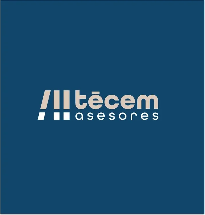 Proyecto para Tecem Abogados