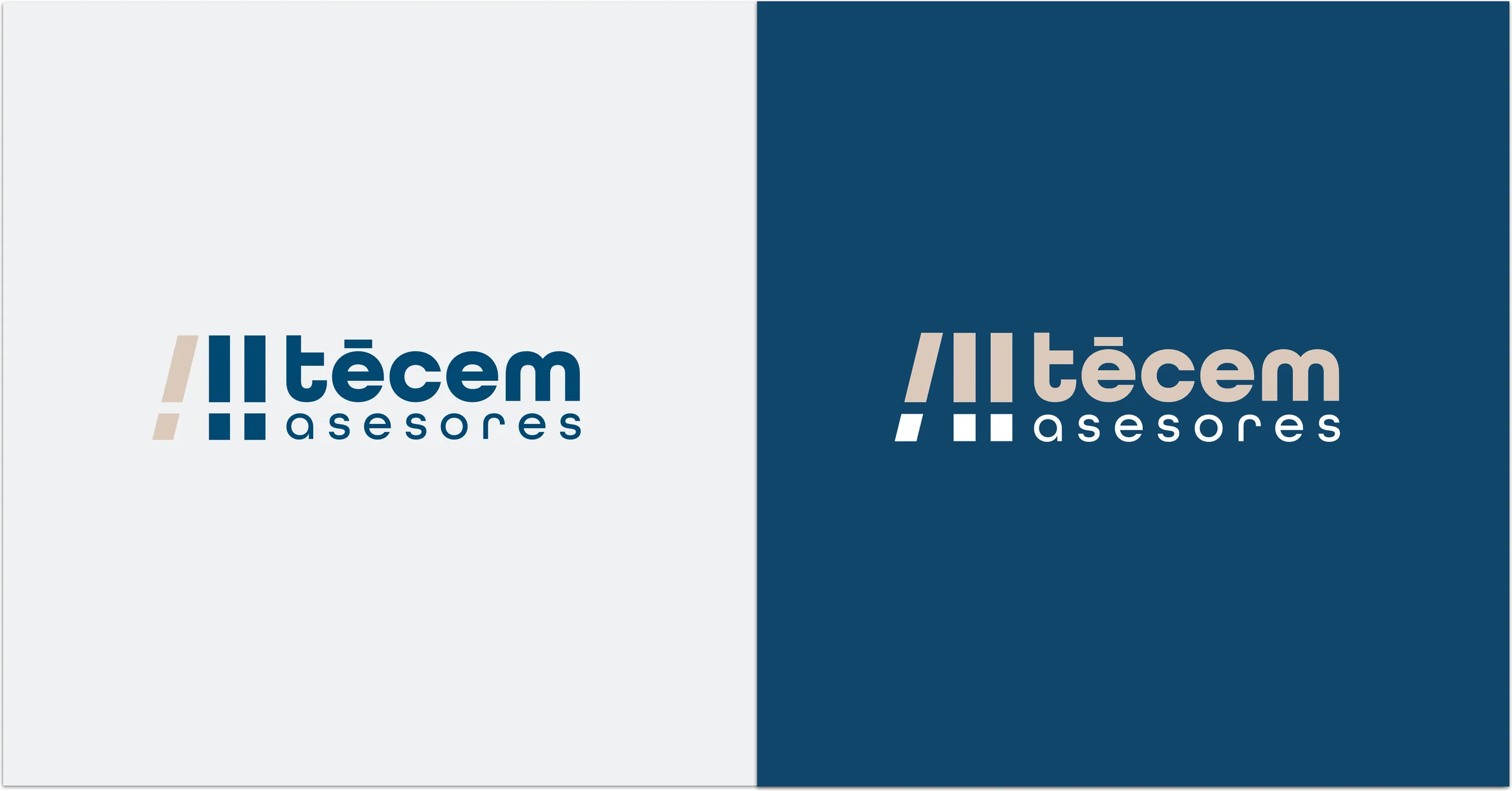 Proyecto de marketing y diseño para Tecem Abogados, por Hola in Company