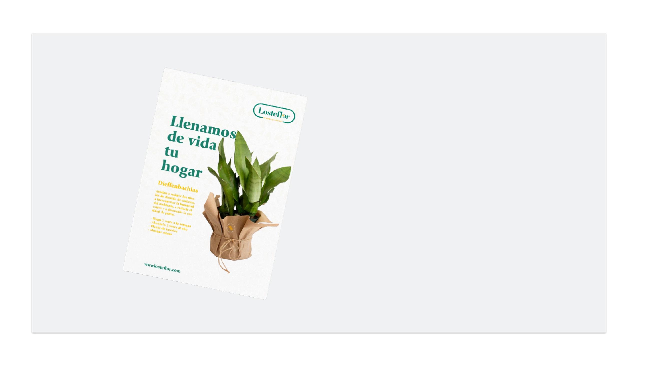 Página 13 del dossier de LosteFlor, proyecto de Hola in Company