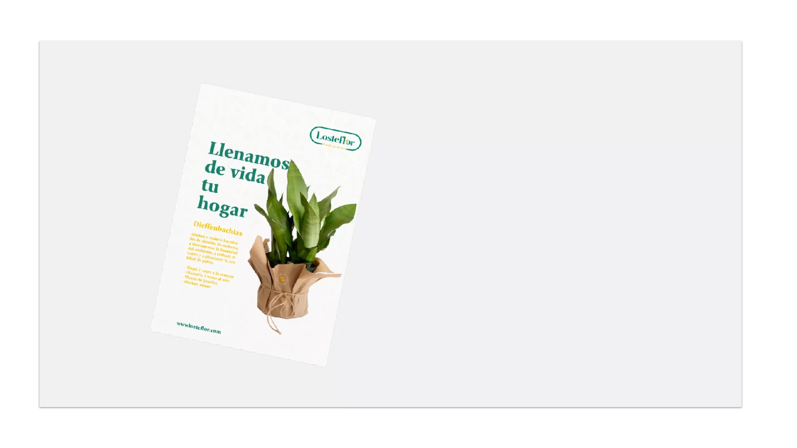 Losteflor: piece 8 of the identity and applications project by Hola in Company