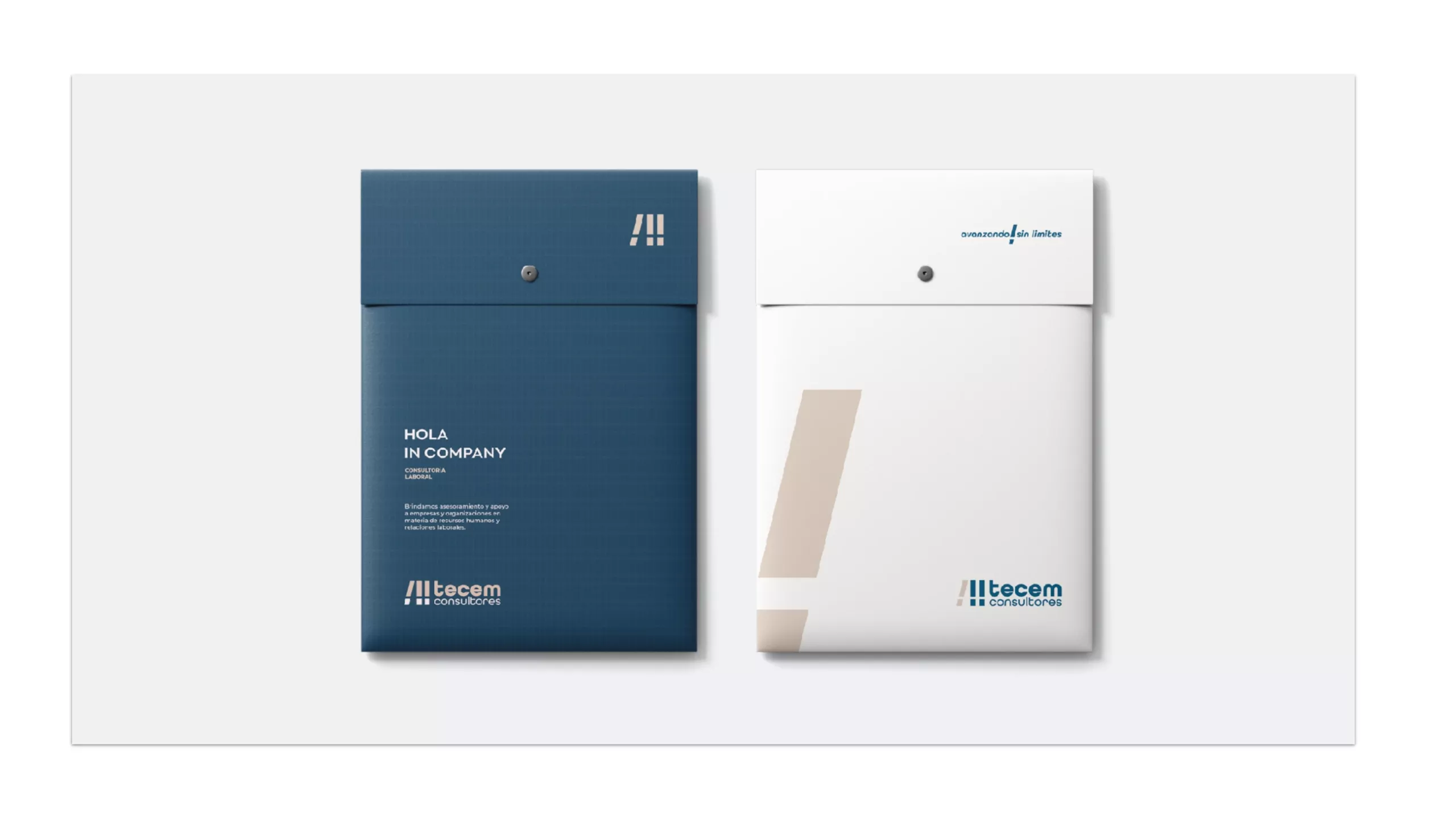 Tecem Consultores: piece 5 of the identity and applications project by Hola in Company