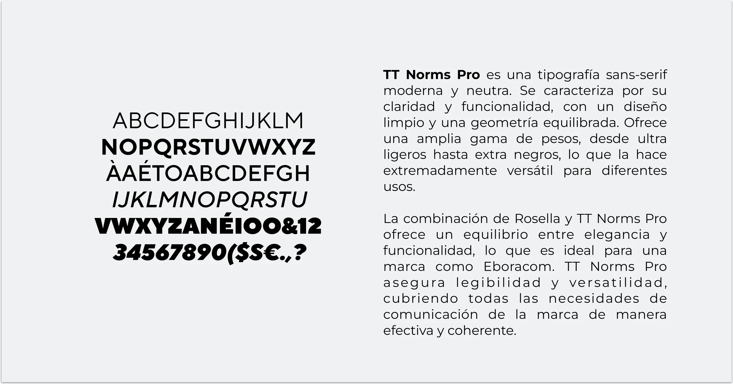 Pieza real del proyecto de Eboracom — Hola in Company