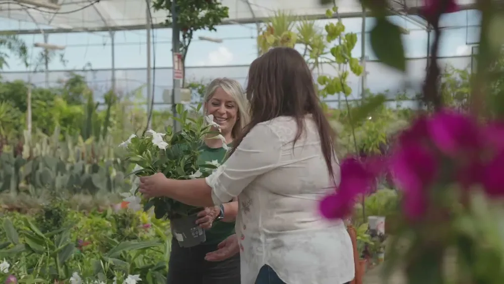 Fotograma del spot de producto de Losteflor